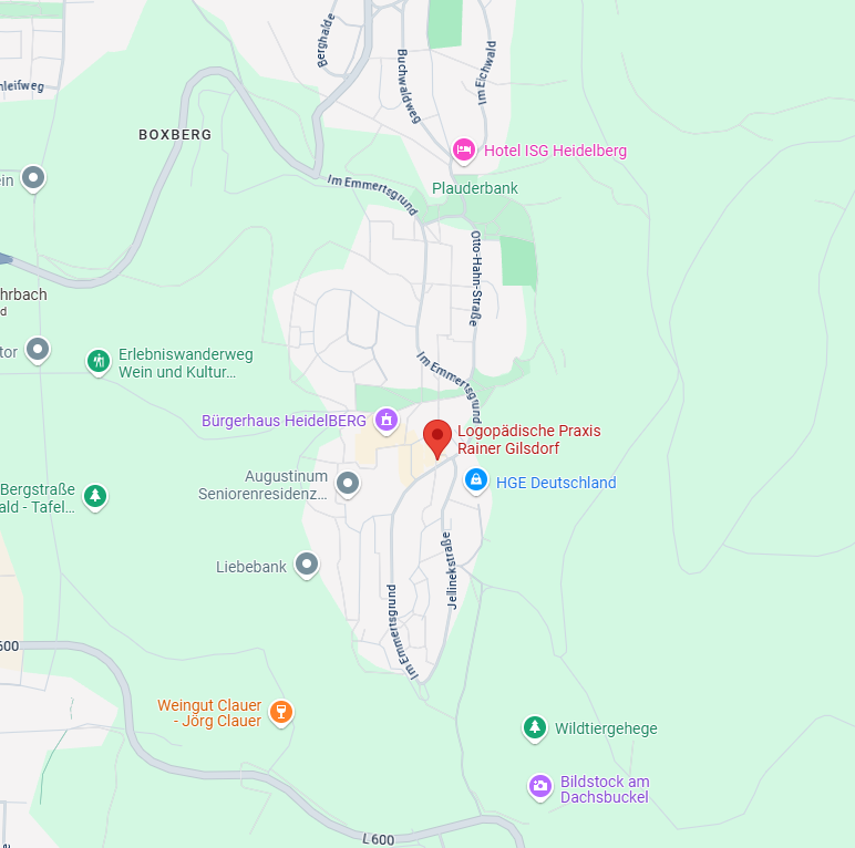 Google-Maps-Screenshot und Link zu der Adresse der Praxis in Google Maps